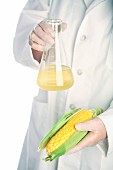 Person in lab coat holds corn and beaker of liquid