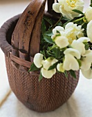 Basket of cream peonies