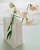 Flowers in paper bag