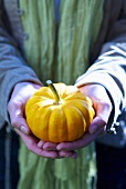 A person holding a pumpkin