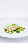 Sour marinated red mullet with fennel and milk foam