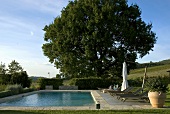 Liegestühle am Pool und grossgewachsener Baum im Garten