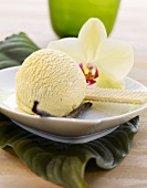 Vanilla ice cream, wafers and an orchid flower