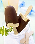 Chocolate-coated zabaione ice cream on sticks