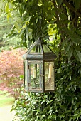 Lantern hanging from a tree