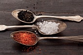 Three spoons of different types of salt