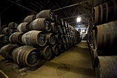 Wine stored in oak barrels in the wine cellar Bodega Alvear in Montilla, Spain
