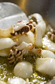 Calmaretti fritti (pan fried squid, Italy)