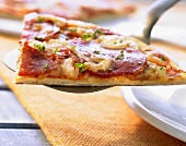 Pizzastück mit Salami
