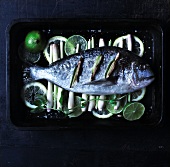 Raw bream on lemongrass and lime slices