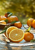 Halbierte Orange und Mandarinen auf einem Glasteller