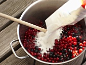Sugar being added to blackcurrants and redcurrants