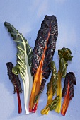 Chard leaves with coloured stems