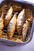 Grilled mackerel on a grill