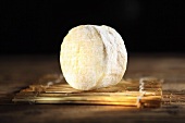 Delice de Bourgogne, soft cheese with a white rind