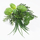 Varieties of herbs for cooking