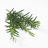 Sprigs of rosemary