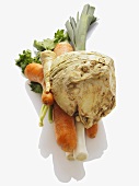Ein Bund Suppengemüse (Knollensellerie, Karotten, Petersilienwurzel und Lauch)