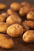 Junge Kartoffeln