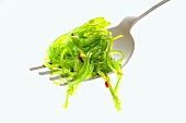 Green algae (Cladopha) on a fork