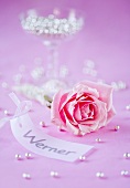 Table decoration for a place setting: label, pink rosebud, silver pearls