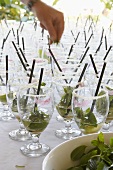 Hand sprinkling mint into glasses with sugar on the rim of the glass and lipstick