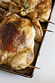 Stuffed, roasted quail on a baking tray