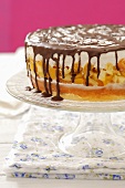 Biscuit cake with apple-peach jelly, cream and chocolate