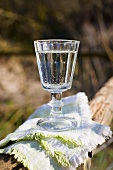 A glass of water on a wooden fence