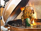 Marinated spring chicken on a beer can