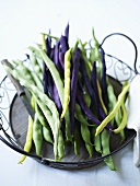 Green, yellow and purple beans in a wire basket