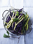 Green, yellow and purple bush beans in a wire basket