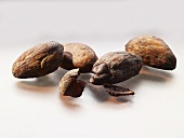 Four cocoa beans (close-up)
