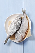 Two frozen bream