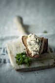 Brot mit Räuchermakrelen-Rillette