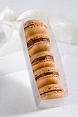 Chocolate macaroons in a plastic box