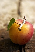 An apricot with a stem and a leaf