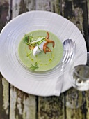 Cold cucumber soup with ricotta
