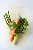 Mirepoix (carrots, celery, leeks, parsley, onions)