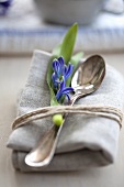 A napkin with a spoon and blue hyacinth