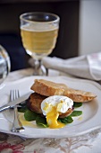 Rarebit with a poached egg and beer