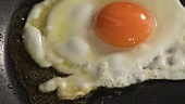 Frying an egg in a frying pan