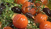 Frying tomatoes, olives and herbs