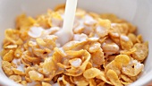 Putting cornflakes into a bowl and pouring milk onto them