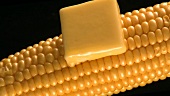 Melting knob of butter on a cob of corn