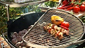 Meat kebabs, potato and tomato on a barbecue