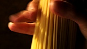 Ein Bund Spaghetti