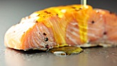 Pouring oil over salmon fillet