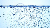 Air bubbles rising to the surface of water