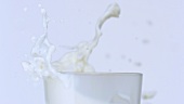 Eiswürfel fällt in ein Glas Milch